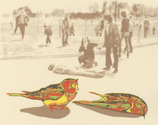 Screenprint of Birds on BFK